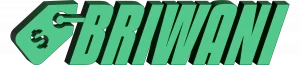 Briwani Logo 3D v5